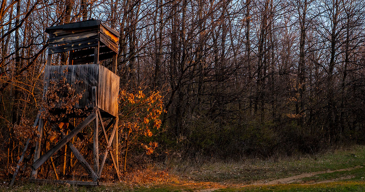 Attention aux déchets copie